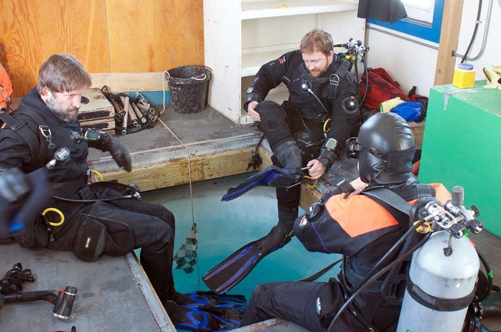 Divers