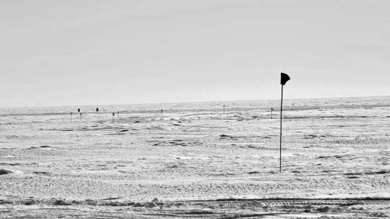 Black flags on snowy Antarctic landscape