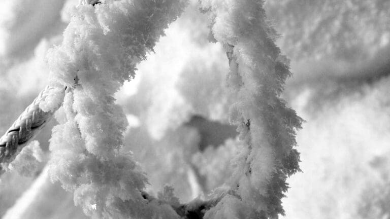 Close-up of frosted rope in snow.