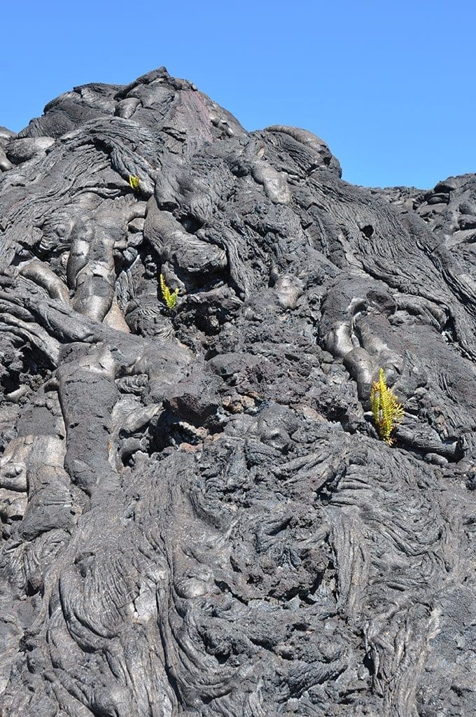 Lava fields in Hawaii - photo by Glenn McClure