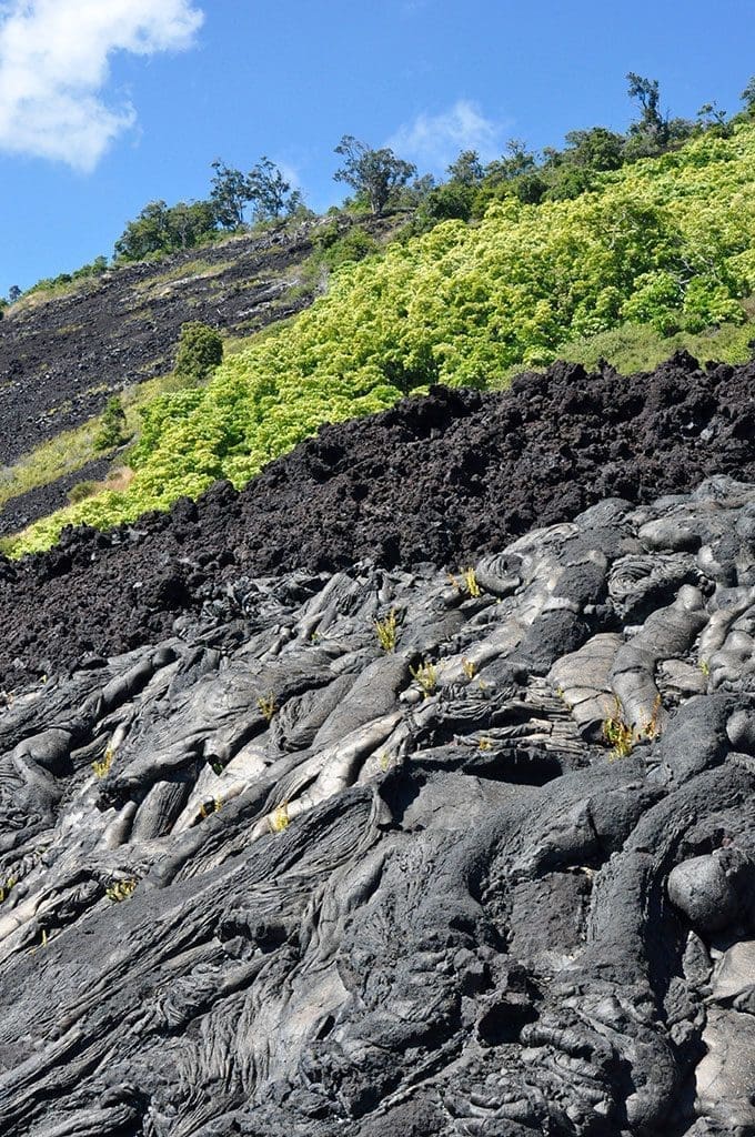 Lava fields in Hawaii - photo by Glenn McClure